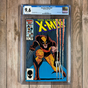 Descriptive image text